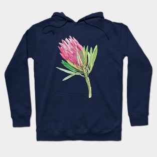 Pink Protea flower Hoodie